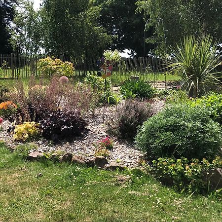 Le Jardin Des Fees Bed and Breakfast Savigny-le-Vieux Eksteriør billede